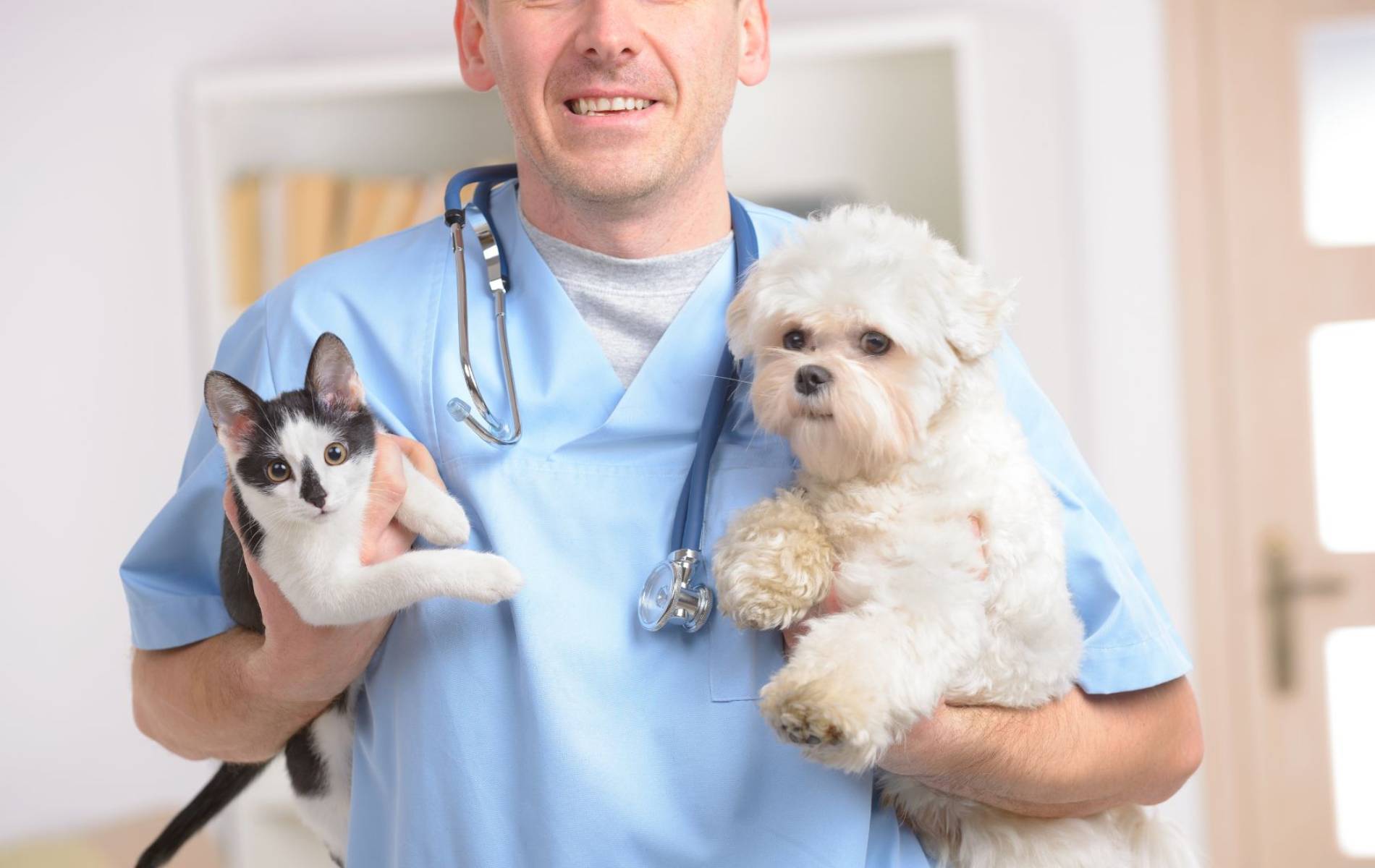 A person holding a dog and a cat
